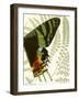 Butterfly Symmetry II-Vision Studio-Framed Art Print