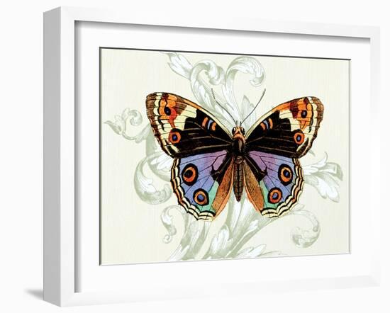 Butterfly Theme I-Susan Davies-Framed Art Print