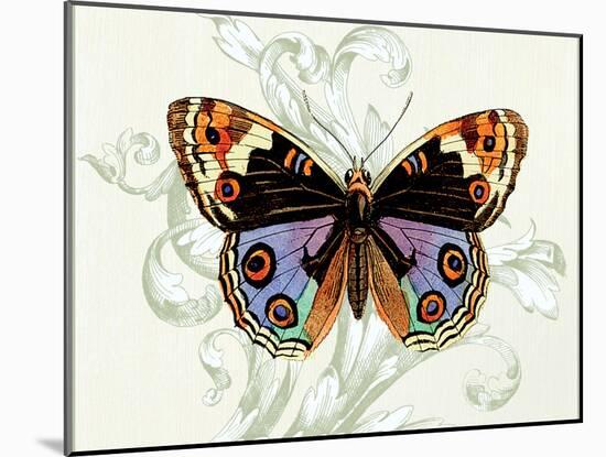 Butterfly Theme I-Susan Davies-Mounted Art Print