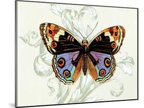 Butterfly Theme I-Susan Davies-Mounted Art Print