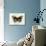 Butterfly Theme I-Susan Davies-Art Print displayed on a wall