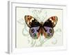 Butterfly Theme I-Susan Davies-Framed Art Print