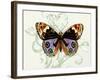 Butterfly Theme I-Susan Davies-Framed Art Print