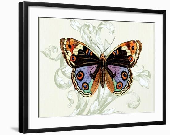 Butterfly Theme I-Susan Davies-Framed Art Print