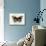 Butterfly Theme I-Susan Davies-Mounted Art Print displayed on a wall