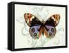 Butterfly Theme I-Susan Davies-Framed Stretched Canvas