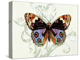 Butterfly Theme I-Susan Davies-Stretched Canvas