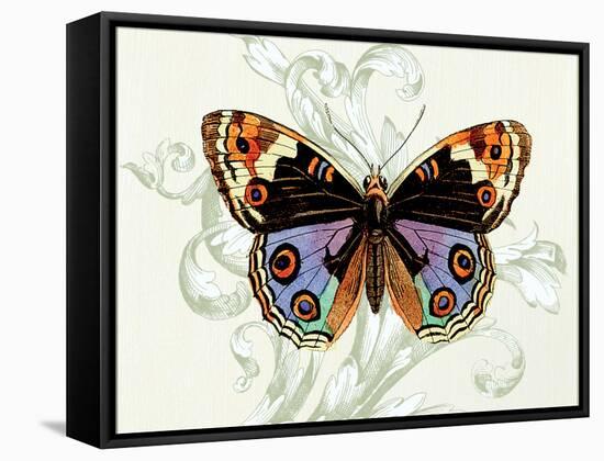 Butterfly Theme I-Susan Davies-Framed Stretched Canvas