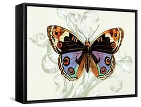 Butterfly Theme I-Susan Davies-Framed Stretched Canvas