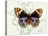 Butterfly Theme I-Susan Davies-Stretched Canvas