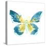 Butterfly Traces I-June Vess-Stretched Canvas