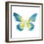 Butterfly Traces I-June Vess-Framed Art Print