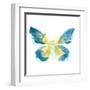 Butterfly Traces I-June Vess-Framed Art Print