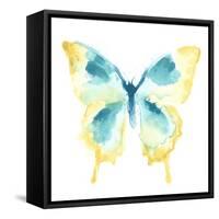 Butterfly Traces II-June Vess-Framed Stretched Canvas