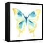 Butterfly Traces II-June Vess-Framed Stretched Canvas