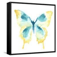 Butterfly Traces II-June Vess-Framed Stretched Canvas