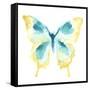 Butterfly Traces II-June Vess-Framed Stretched Canvas