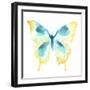 Butterfly Traces II-June Vess-Framed Art Print