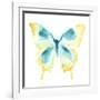 Butterfly Traces II-June Vess-Framed Art Print