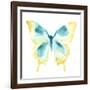 Butterfly Traces II-June Vess-Framed Art Print