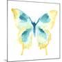 Butterfly Traces II-June Vess-Mounted Art Print