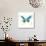 Butterfly Traces III-June Vess-Art Print displayed on a wall