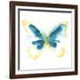 Butterfly Traces III-June Vess-Framed Art Print