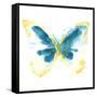 Butterfly Traces III-June Vess-Framed Stretched Canvas