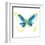 Butterfly Traces III-June Vess-Framed Art Print