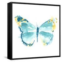 Butterfly Traces IV-June Vess-Framed Stretched Canvas