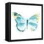 Butterfly Traces IV-June Vess-Framed Stretched Canvas