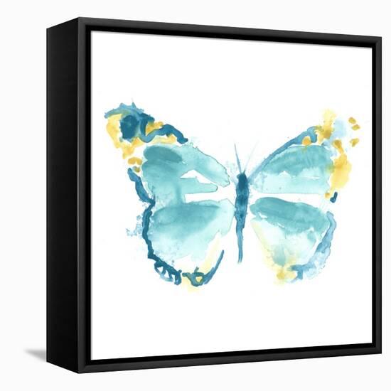 Butterfly Traces IV-June Vess-Framed Stretched Canvas