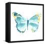 Butterfly Traces IV-June Vess-Framed Stretched Canvas