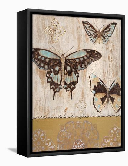 Butterfly Transformation-Studio 5-Framed Stretched Canvas