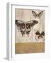 Butterfly Transformation-Studio 5-Framed Art Print