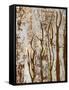 Butterfly Tree I-Natalie Avondet-Framed Stretched Canvas