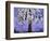 Butterfly Tree-Blenda Tyvoll-Framed Giclee Print