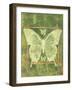 Butterfly Triad-Bee Sturgis-Framed Art Print