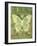 Butterfly Triad-Bee Sturgis-Framed Art Print