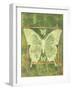 Butterfly Triad-Bee Sturgis-Framed Art Print