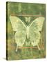 Butterfly Triad-Bee Sturgis-Stretched Canvas