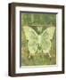 Butterfly Triad-Bee Sturgis-Framed Art Print