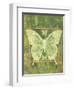 Butterfly Triad-Bee Sturgis-Framed Art Print