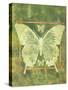 Butterfly Triad-Bee Sturgis-Stretched Canvas