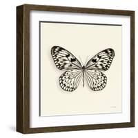 Butterfly V BW Crop-Debra Van Swearingen-Framed Art Print