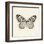 Butterfly V BW Crop-Debra Van Swearingen-Framed Art Print