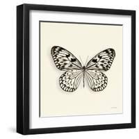 Butterfly V BW Crop-Debra Van Swearingen-Framed Art Print