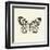 Butterfly V BW Crop-Debra Van Swearingen-Framed Art Print