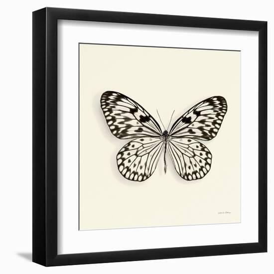 Butterfly V BW Crop-Debra Van Swearingen-Framed Art Print