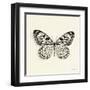 Butterfly V BW Crop-Debra Van Swearingen-Framed Art Print